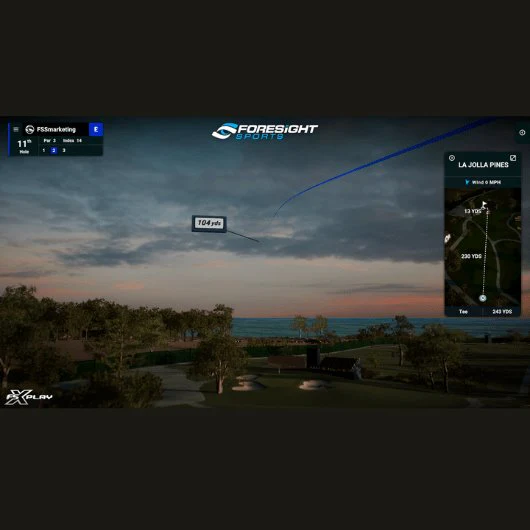 Foresight Sports Sim-in-a-Box: Birdie Plus Package - Image 5